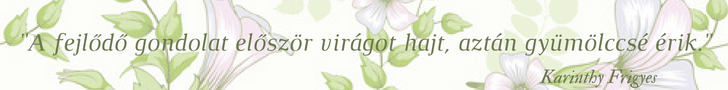 Hyaluron feltöltő kezelés