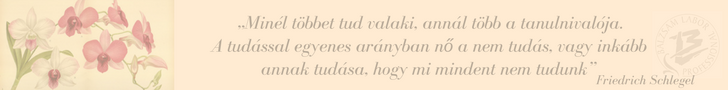 Kreativitás a kozmetikai kezelésekben - Bevezetés