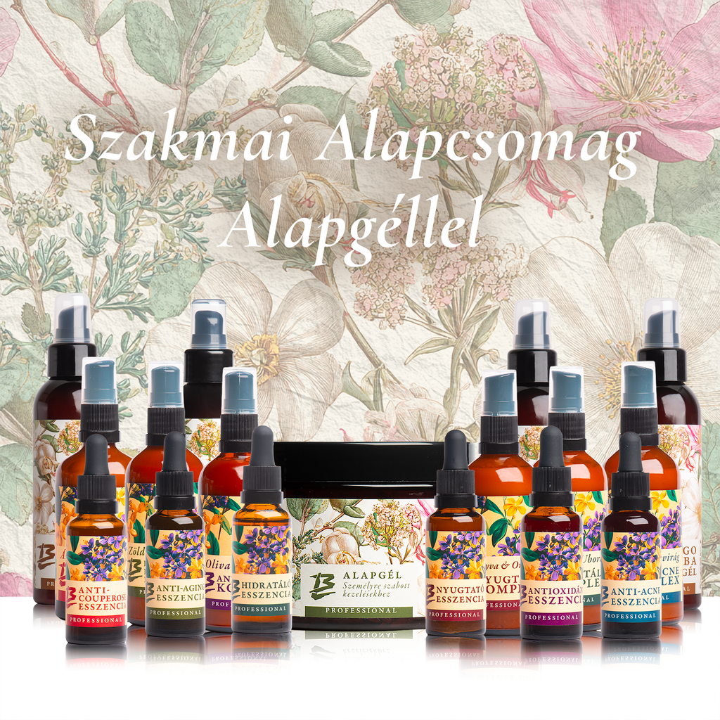 Szakmai Alapcsomag Alapgéllel